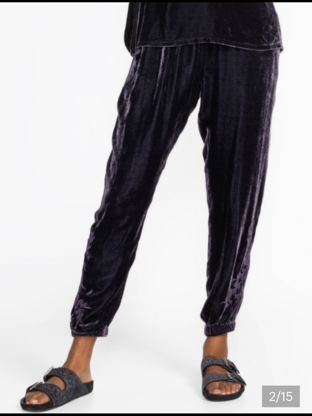 Johnny Was Plush Velvet Joggers in Deep Plum